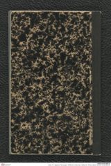 Seite 107, Tagebuch "Munzingen, WildKirchli, Achenheim, Metternich, Rhens, Basel" (NHMW-PRAE-BBB-29)